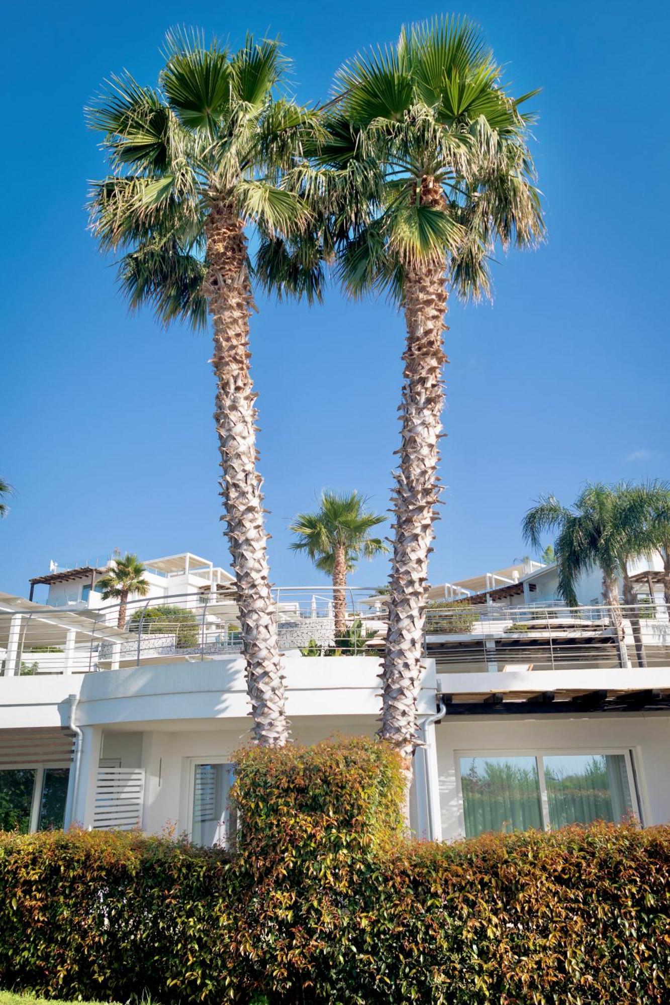 Infinity Resort Tropea Parghelia Esterno foto